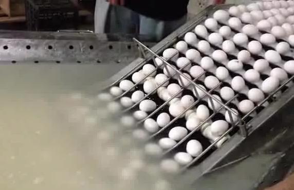 Обработка яиц по санпин